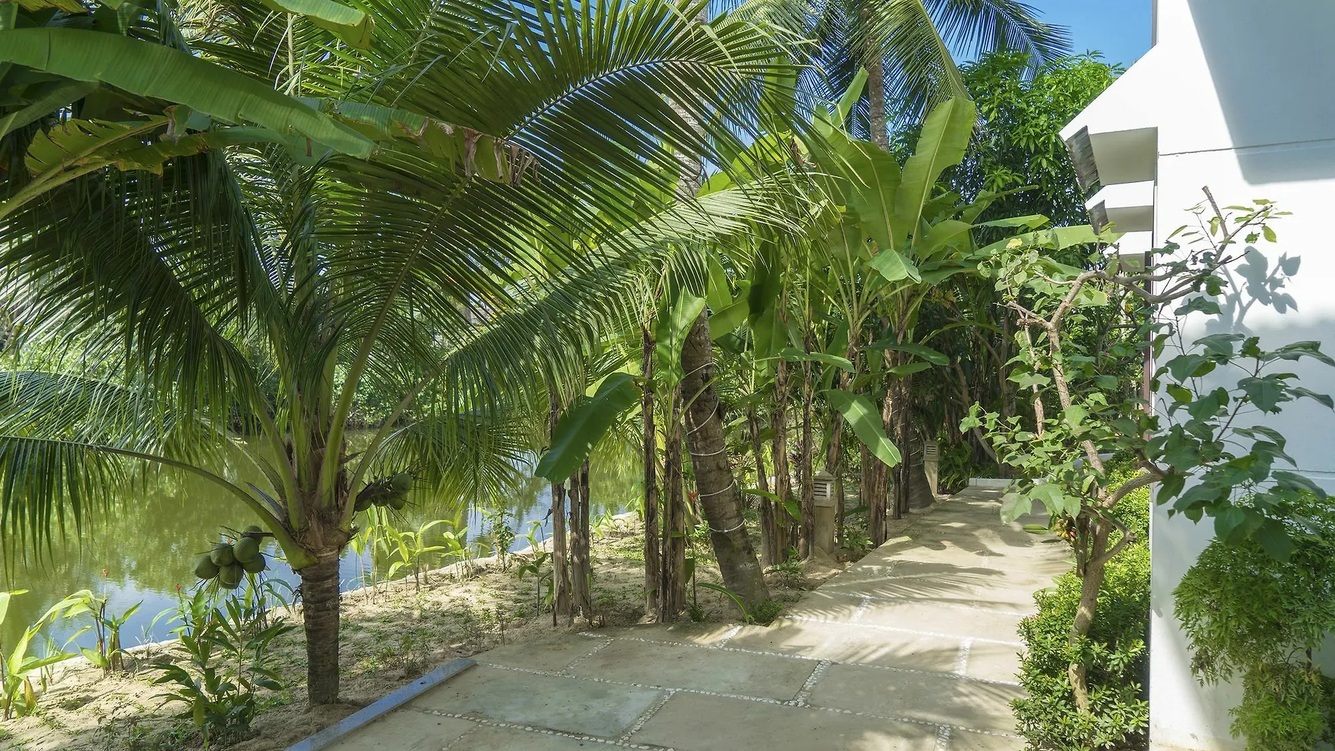 Luna Villa Homestay Хойан Отель
